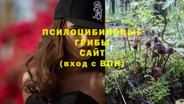 каннабис Беломорск