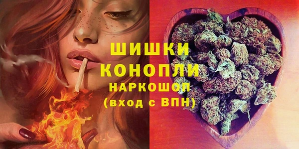 сатива Белоозёрский