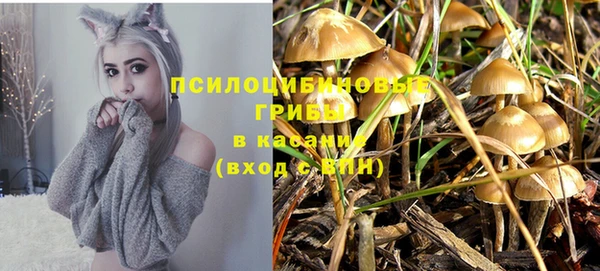 каннабис Беломорск