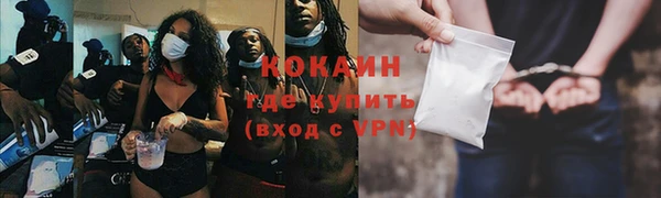 сатива Белоозёрский