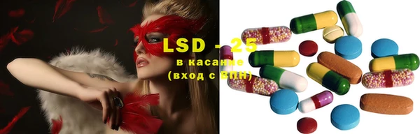 сатива Белоозёрский