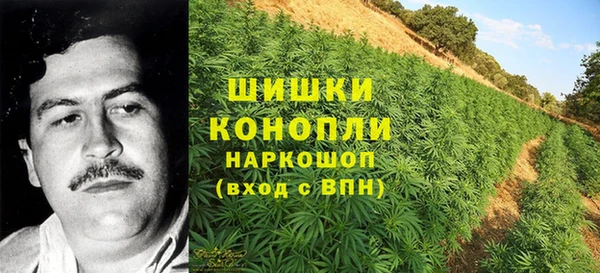 каннабис Беломорск